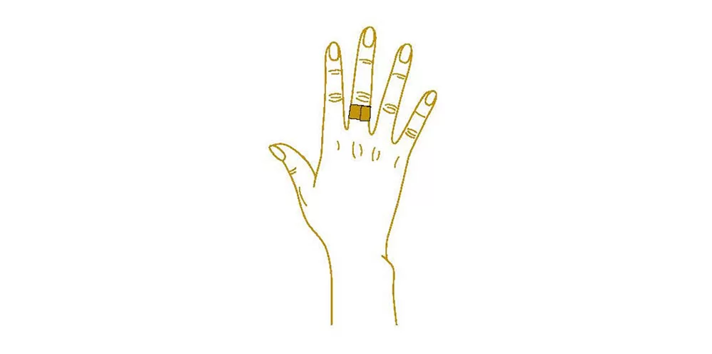 ring_2a